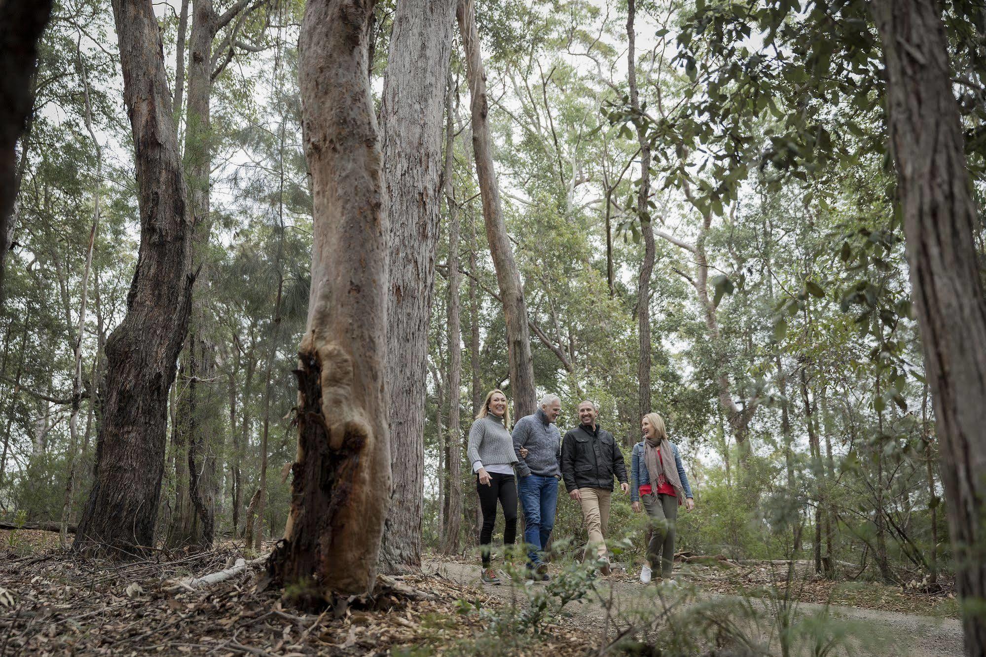 Bed and Breakfast Spicers Sangoma Retreat - Adults Only Kurrajong Экстерьер фото